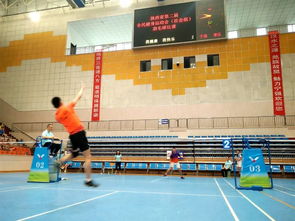 陕西省第二届全民健身运动会“威赢杯”羽毛球比赛点燃全民健身激情