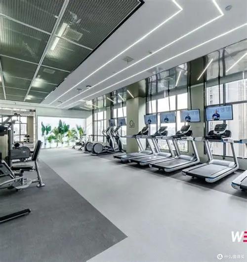 2026年广州健身私教工作室优选指南 五大优质机构深度测评 | 健身服务